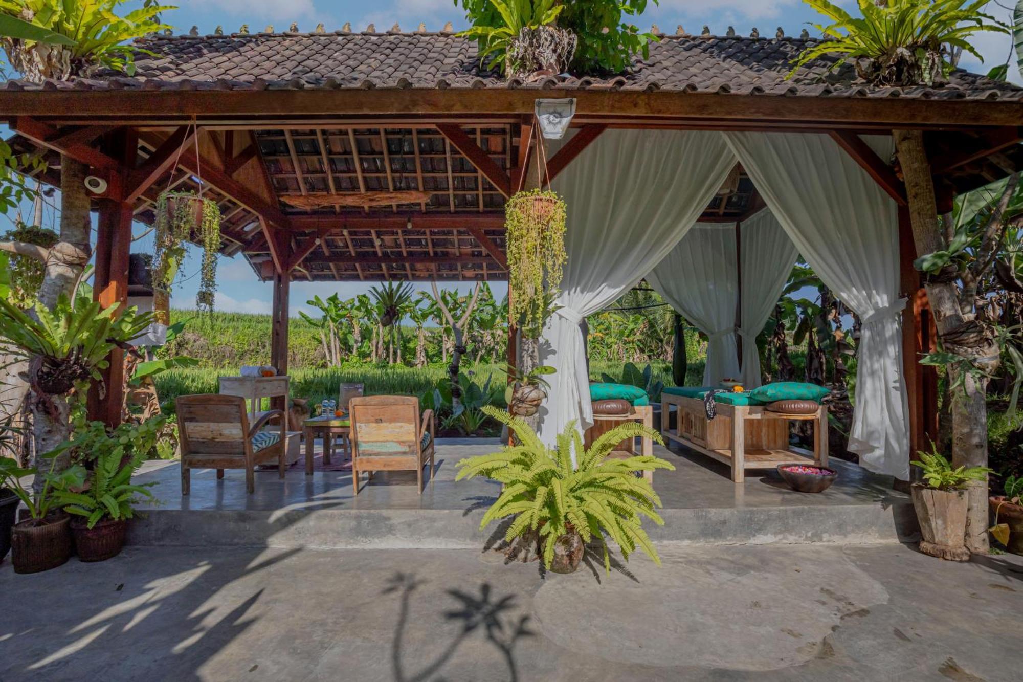Abian Ubud View Εξωτερικό φωτογραφία