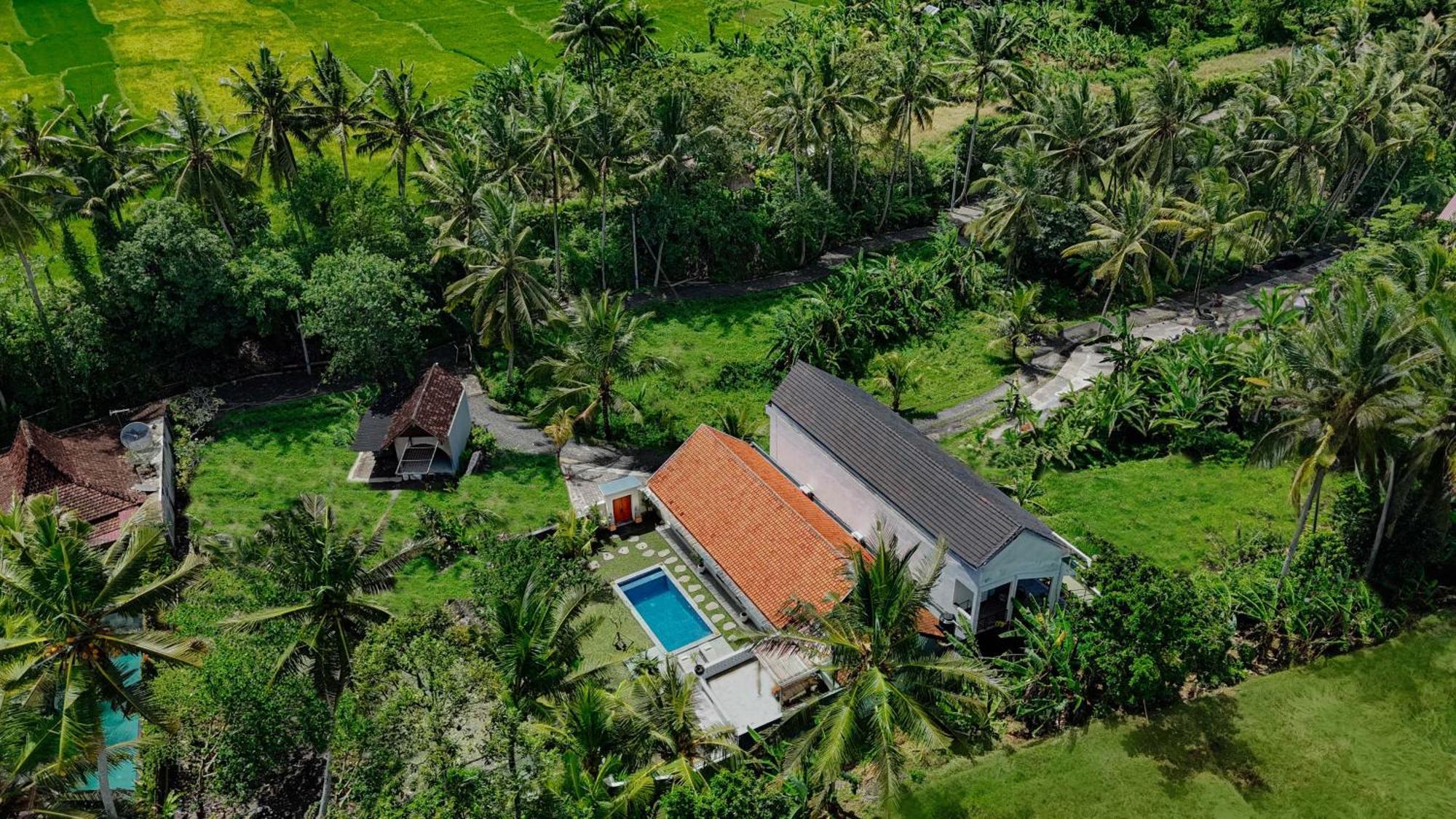 Abian Ubud View Εξωτερικό φωτογραφία